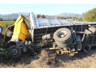 Bu kazanın sebebi ’arı’