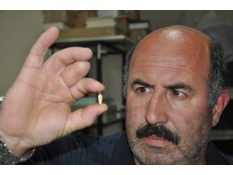 Çekirdek paketinde ’köpek dişi’ iddiası