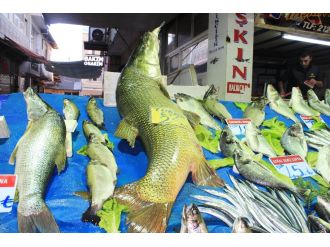 Boyu 151 cm, kilosu 90