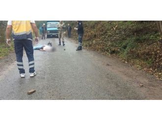 Ordu’da kardeşlerin arazi anlaşmazlığı: 1 ölü, 1 yaralı