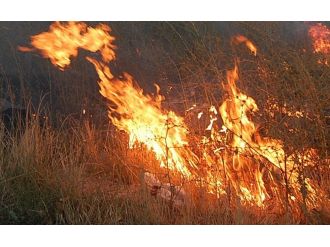 Çalılıkları yakmak isterken yanarak can verdi