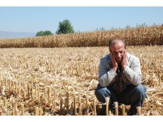 Tokat’ta pes dedirten hırsızlık!