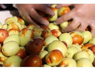 Rüyada gördü, Türkiye’nin en büyüğünü kurdu