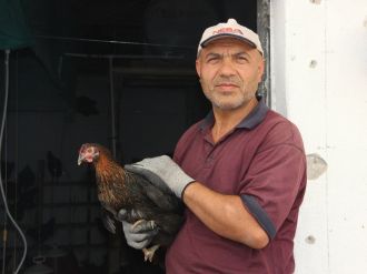 Hobi olarak başladı, tavuk çiftliği kurdu