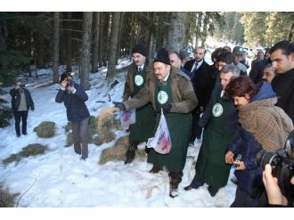 Bakan’dan ’Hayvanları Koruma Günü’ mesajı