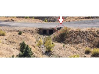 Tendürek Dağı’nda operasyon sürüyor