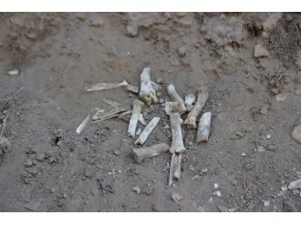 Toprak kayması sonrası ortaya çıkan kemikler merak konusu oldu