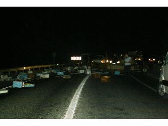 Arı taşıyan kamyoneti kaza yaptı, ekiplere arılar saldırdı