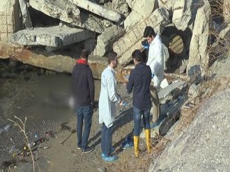 Kardal’da sahilde erkek cesedi bulundu