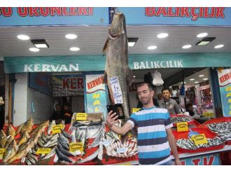 Bu balıkla fotoğraf çektirmek parayla