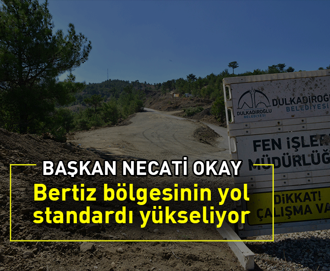 Bertiz'in Yol Standardı Yükseliyor