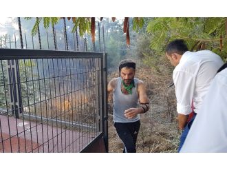 Tartıştığı şahıslara kızıp çam ağaçlarını yaktı