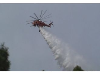 Aydos Ormanı’nda yangın paniği