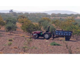 Suriye sınırında hareketli günler yaşanıyor