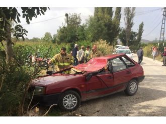 Seyir halindeyken üzerine ağaç devrildi: 1 ölü, 1 yaralı