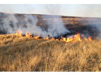 Anız yangını kaza yaptırdı: 1 ölü, 4 yaralı