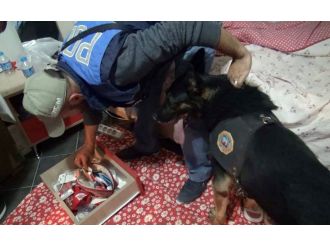 2 hayat kadını AIDS’li çıktı: 200’e yakın erkek tehlikede