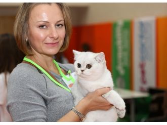 Kediler birincilik için yarıştı