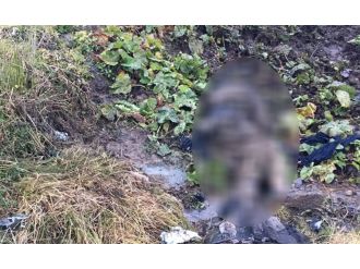 Bitlis’te 4 teröristin cesedi bulundu