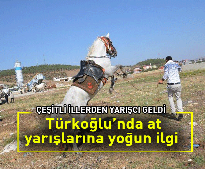 Türkoğlu’nda at yarışları