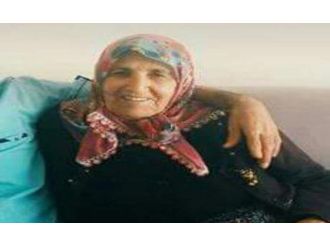 85 yaşındaki kadın torunları tarafından bıçaklanarak öldürüldü