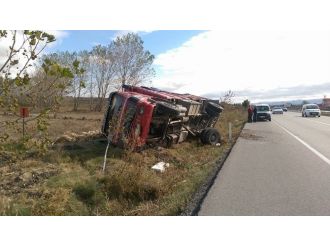 Kamyon dolusu koyun telef oldu