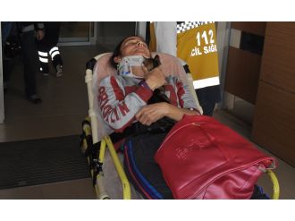 Yaralı olduğu halde kedisine kıyamadı