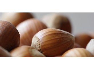 "İtalya Türk fındığını itibarsızlaştırmak istiyor"