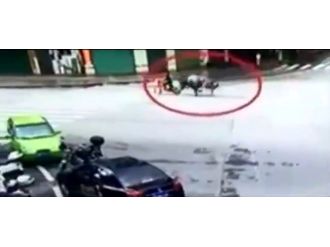 Firari boğa motosikletteki şahsı böyle boynuzladı