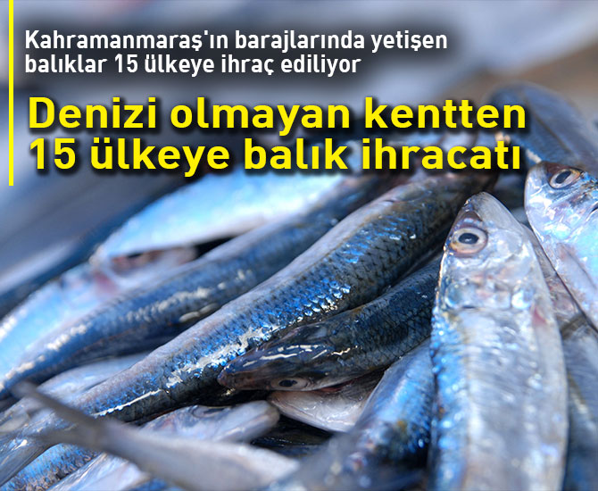 Denizi olmayan kentten 15 ülkeye balık ihracatı