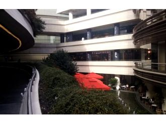 O mağazadan ’yarasa saldırısı’ açıklaması