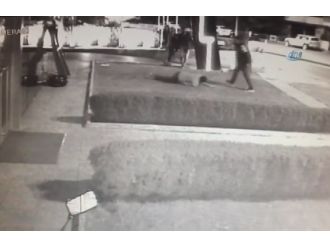 İşadamına kanlı infaz kamera !