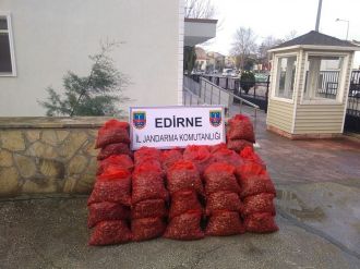 Tam 1 ton 750 kilogram !