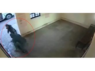 Erkek şiddetinden bir başka erkek kurtardı