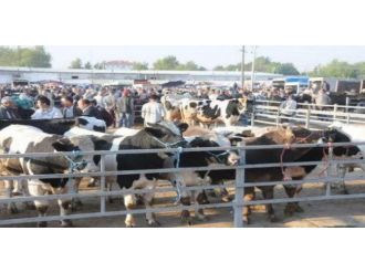 Hastalık tehdidinin ardından yeniden açıldı