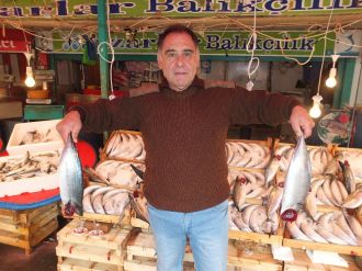 Marmara’da palamut bolluğu