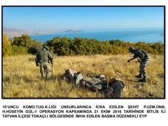 Tatvan’da 2 adet EYP imha edildi