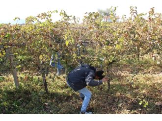 Minik Irmak cinayetinde aranan çapa bulundu iddiası