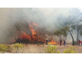 Manavgat’ta orman yangını