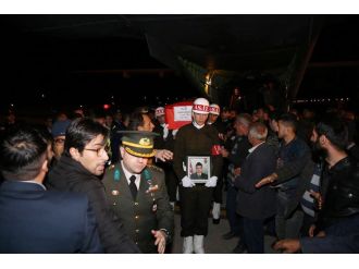 Şehidin kardeşi abisinin tabutuna sarıldı