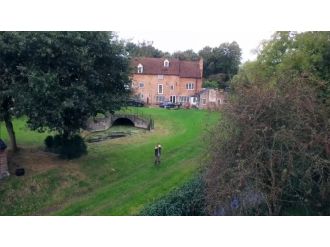 Sen misin bahçemde dolaşan !