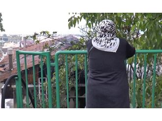 Yanan evini gözyaşları içinde izledi