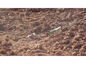 Suriye’den Kilis’e roket atıldı: 1 yaralı