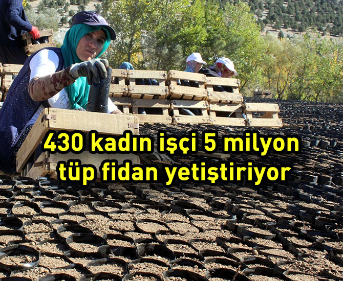 Kadınlar ekmeklerini fidanlıktan çıkartıyor