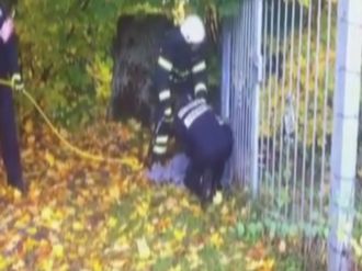 Bu da geyik kurtarma operasyonu