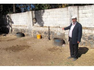 Tek geçim kaynağını çaldılar