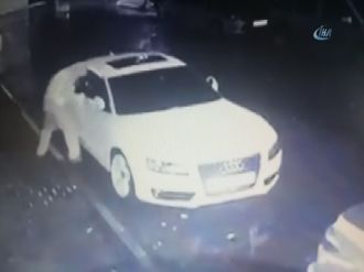 20 bin TL’yi 20 saniyede çaldılar