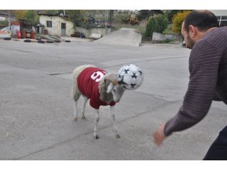 Kesmeye kıyamadığı kurbanlık en yakın dostu oldu
