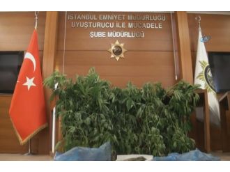 Uyuşturucu serasına çevrilmiş eve baskın