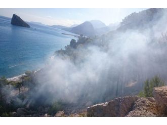 Antalya’da orman yangını